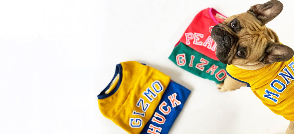 Customizable, sustainable College hoodies and tanks made of organic cotton, GOTS certified | Letsgizmo