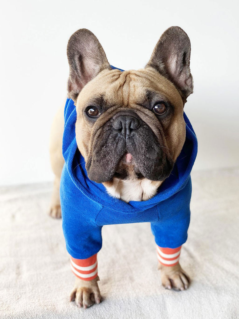 Eco friendly College Hoodie Spice Blue | Letsgizmo