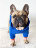 Eco friendly College Hoodie Spice Blue | Letsgizmo