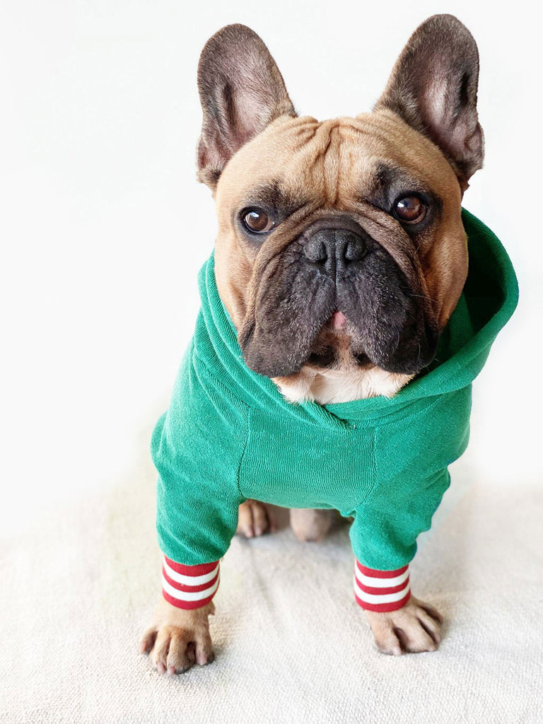 Organic cotton dog hoodie Evergreen, handmade to order| Letsgizmo